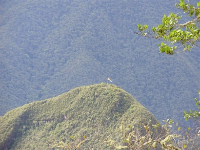 Turismo en America Latina - Machu Picchu